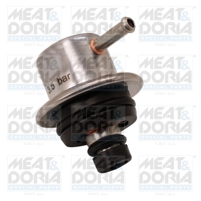 Fuel Pressure Regulator